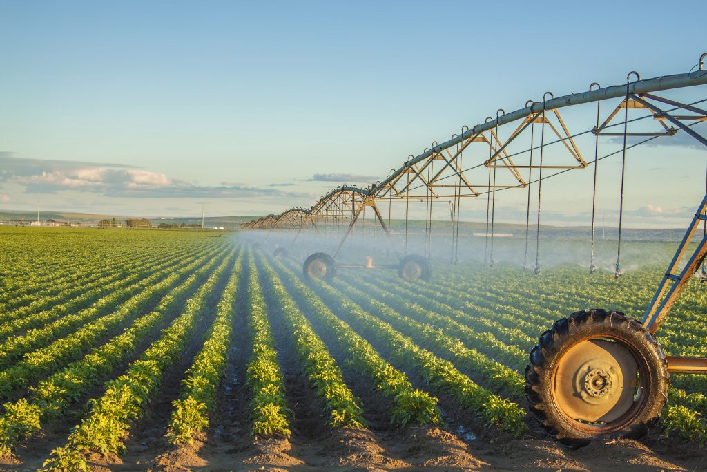 How Eurofins is using Alteia platform for agricultural research on potato disease