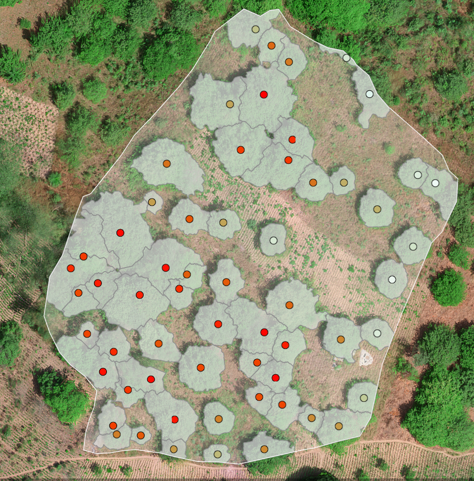 Technoserve and Alteia Partner To Deploy A.I Solutions for Climate-Smart Cashew Program in Benin