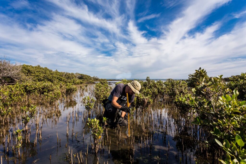 5 Ways Vision AI mitigates climate change through smarter, better industrial practices