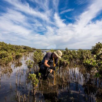 5 Ways Vision AI mitigates climate change through smarter, better industrial practices